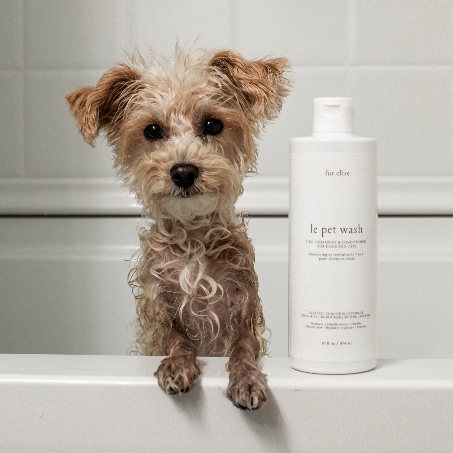 Pet Shampoo