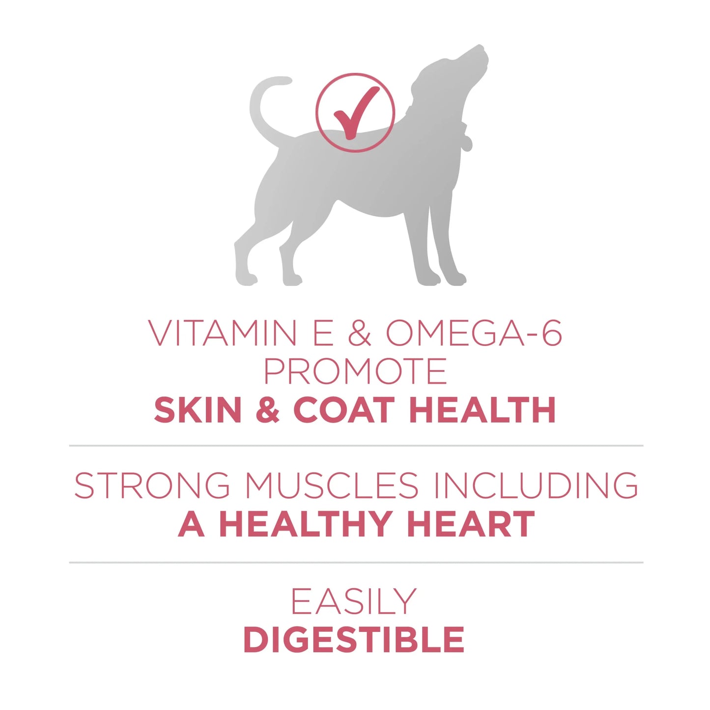 Pureina_ plan_ plus natural skin and coat formula