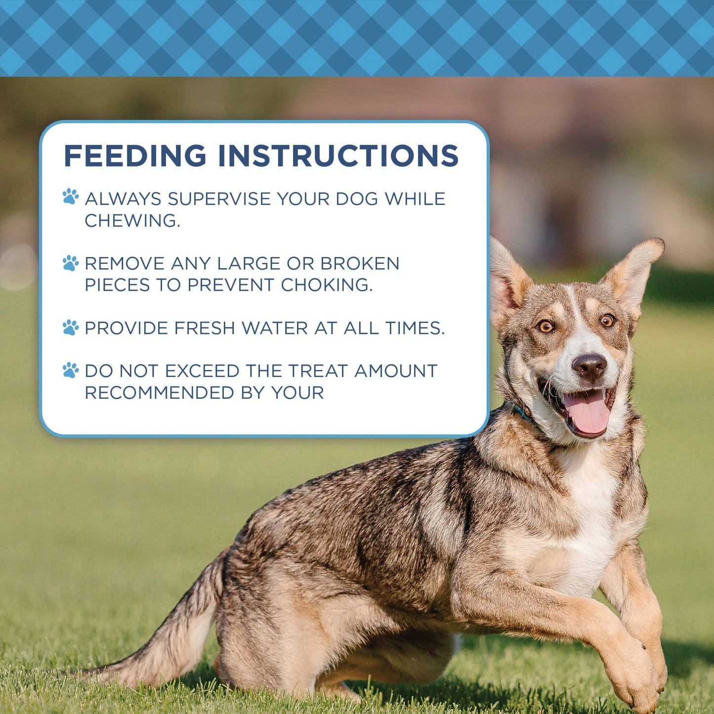 Country Living Natural Cow Ears Dog Chews – 10 Count Bag – All-Natural, Single-Ingredient, Long-Lasting Dog Chews – High-Protein, Low-Fat, Rawhide-Free – Supports Dental Health