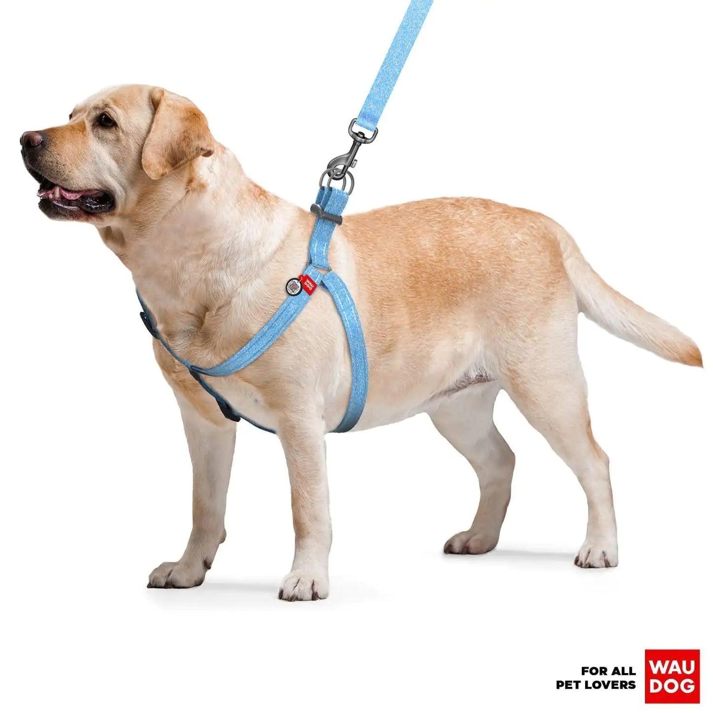 Blue Dog Harness