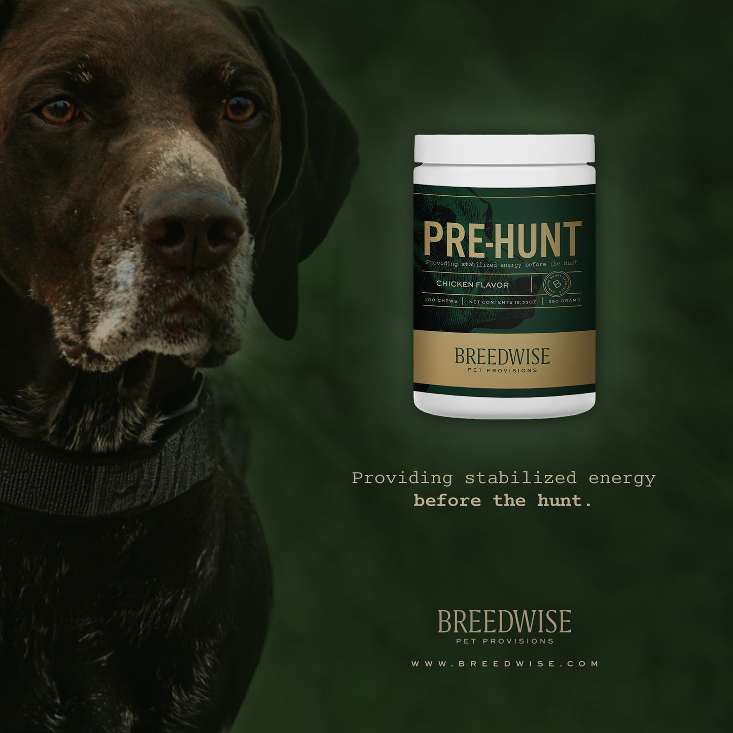 Breedwise Pre & Post-HUNT Soft Dog Chews - Bundle