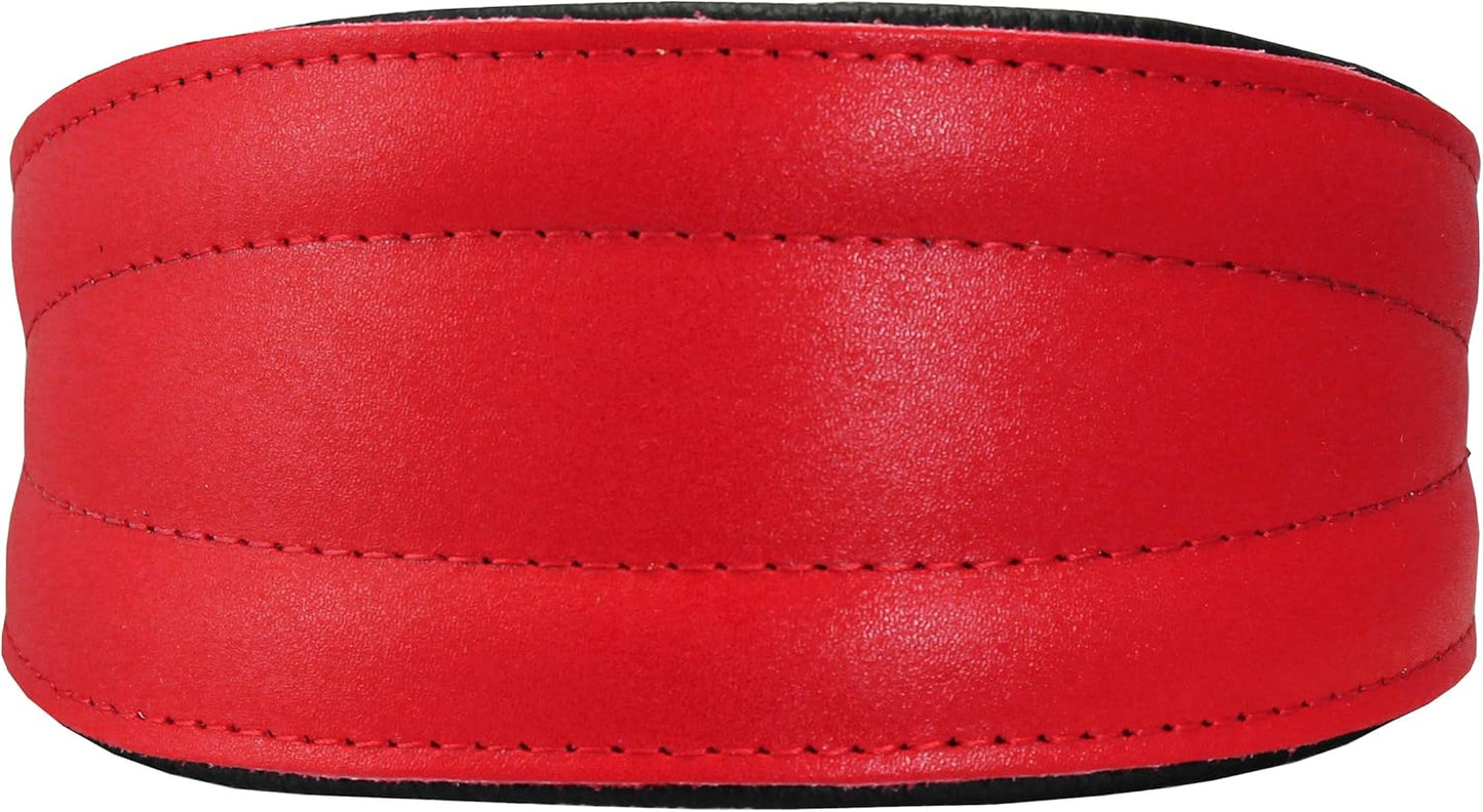Real Leather Extra Wide Padded Tapered Dog Collar (16.75"-20" Neck; 3" Wide, Red)