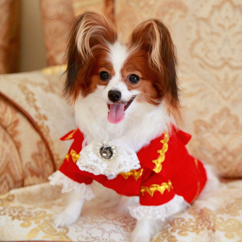 Fancy dog Dresses and constumes