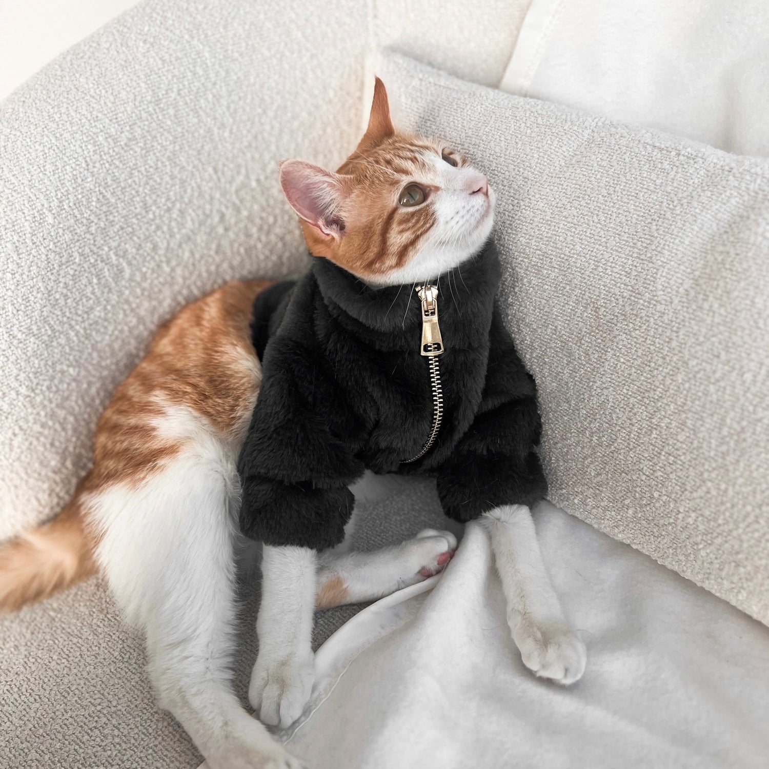 Sweaters and Jackets
