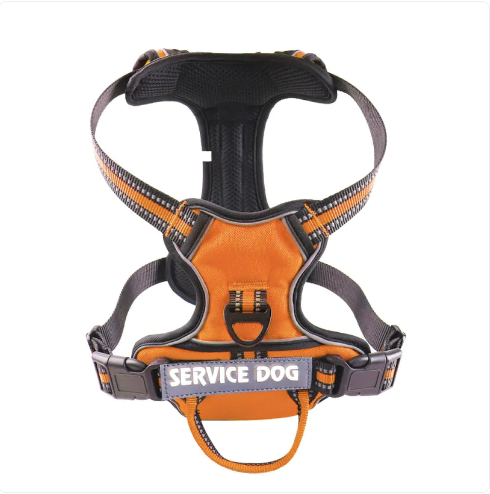 Service dog, dog harness SMALL