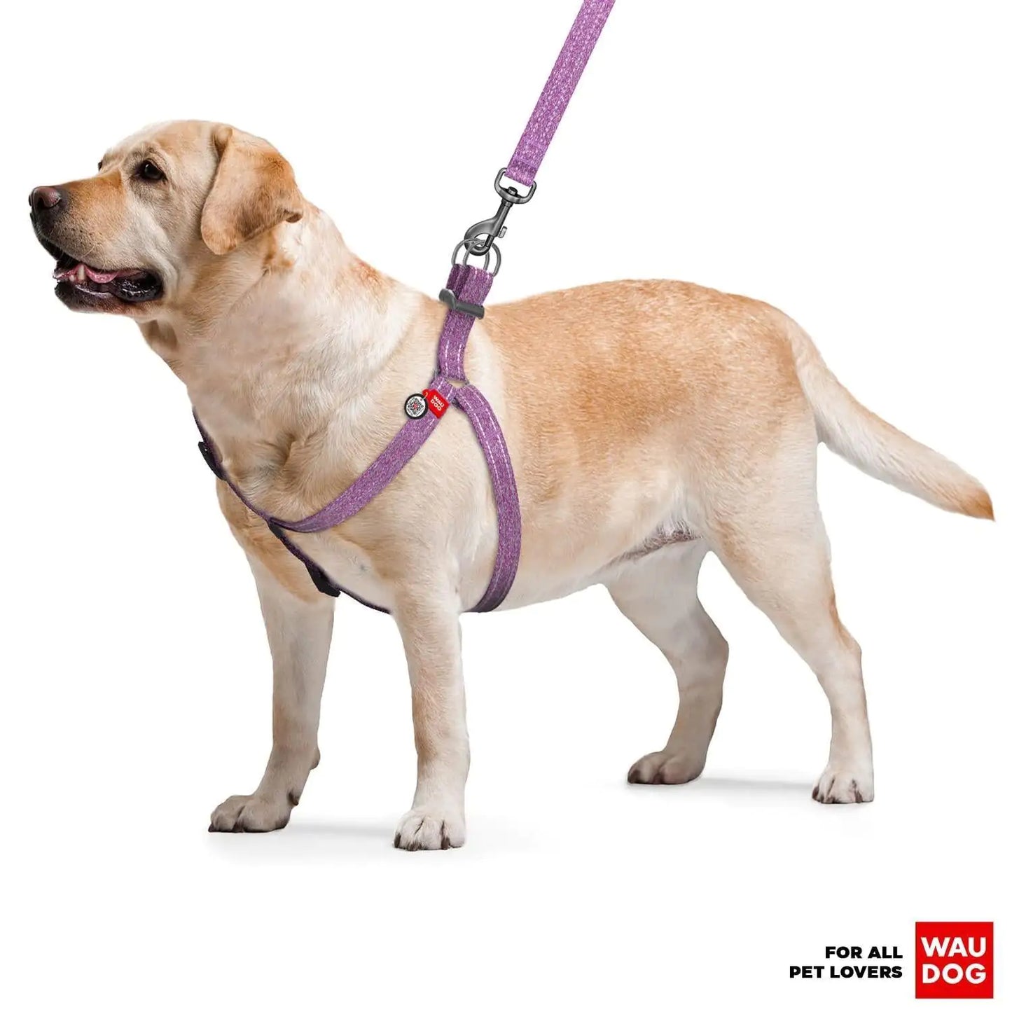 Eco Friendly Dog Harness/Purple/durable/comfortable