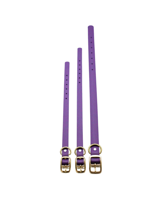 Violet Waterproof Biothane Collar