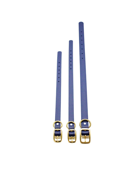 Royal Blue Waterproof Biothane Collar