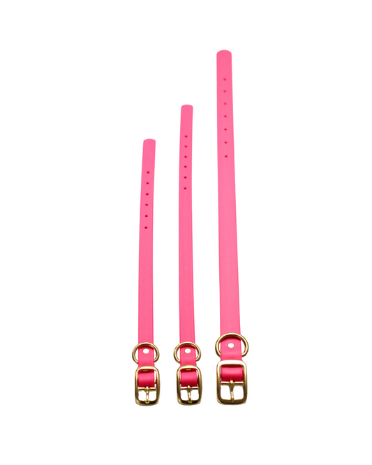 Hot Pink Waterproof Biothane Collar