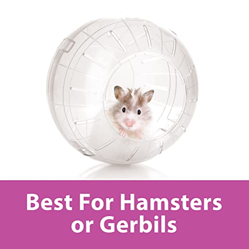 Kaytee 7" Clear Run-About Exercise Ball For Pet Hamsters & Gerbils|B0002AS8PM