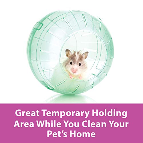 Kaytee 7" Clear Run-About Exercise Ball For Pet Hamsters & Gerbils|B0002AS8PM