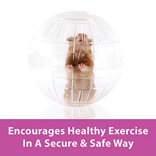 Kaytee 7" Clear Run-About Exercise Ball For Pet Hamsters & Gerbils|B0002AS8PM