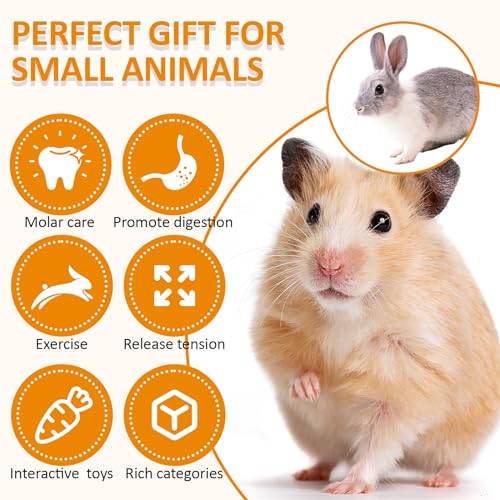 VESPRO Hamster Toys Set, Guinea Pig Toys Small Animal Chewing Toy and Rat Cage Accessories, Chinchillas, Gerbils, Rats, Rabbit Rodents Teeth Care, Apple Wood Timothy Hay Mouse Toy Swing Seesaw Bridge|B0CR6KC4VL