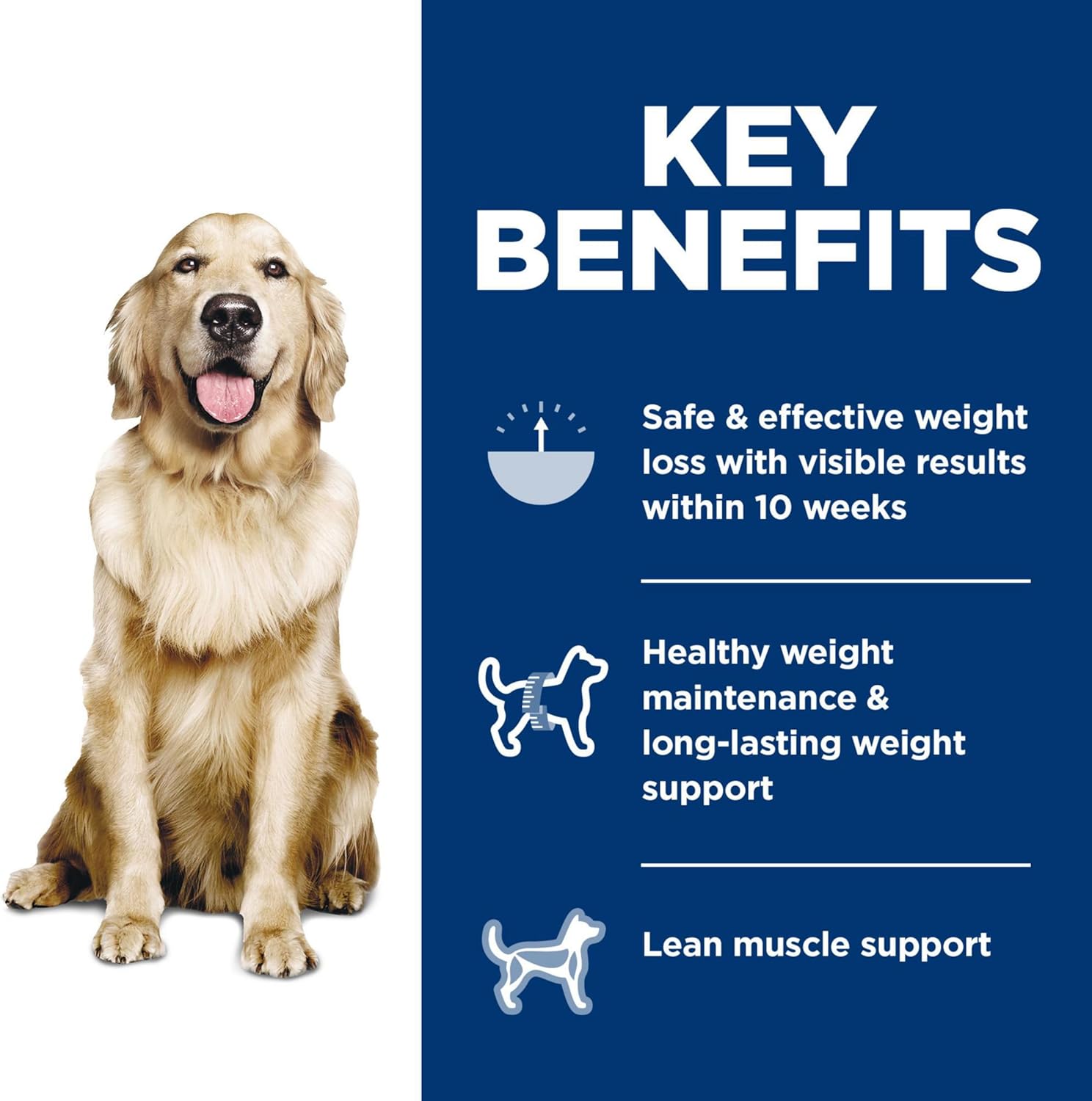 Hills science dog food for adult dogs, weight loss
