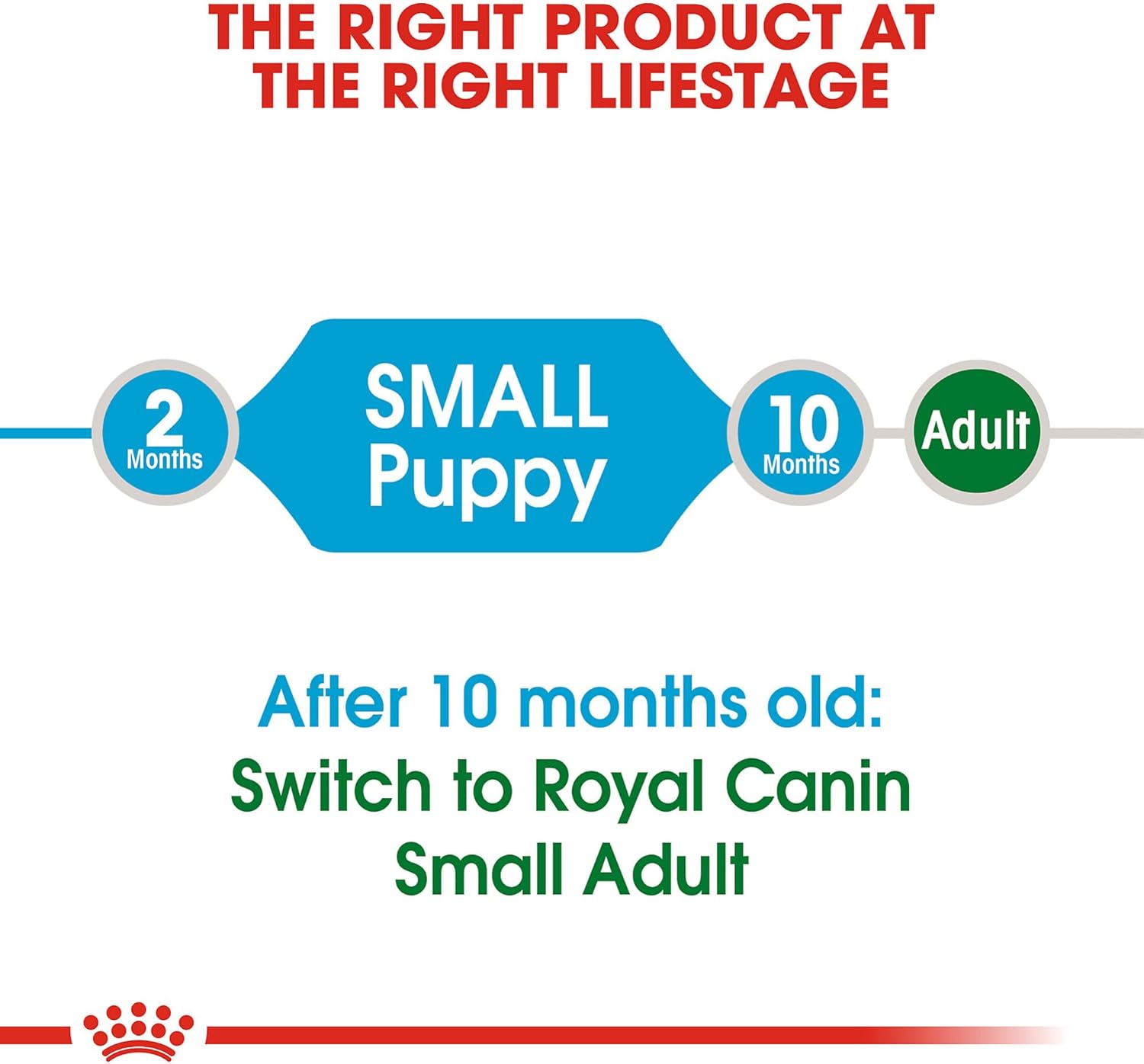 Royal Cane dog food vet approved and highly rated dog food 4lb pack  for small puppy