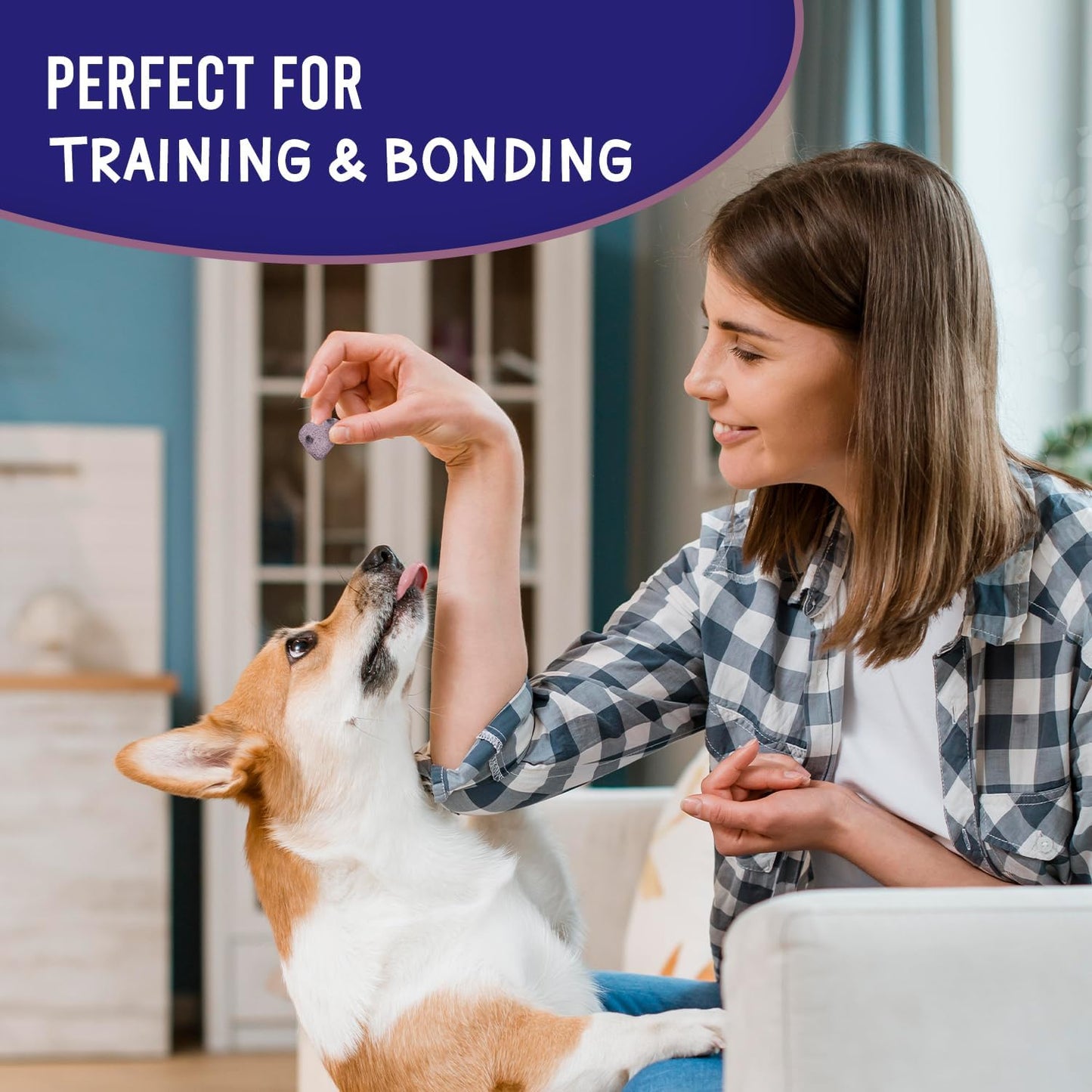 Much Loved Dog Training Reward Treats - Professional Bundle (6-Pack)
