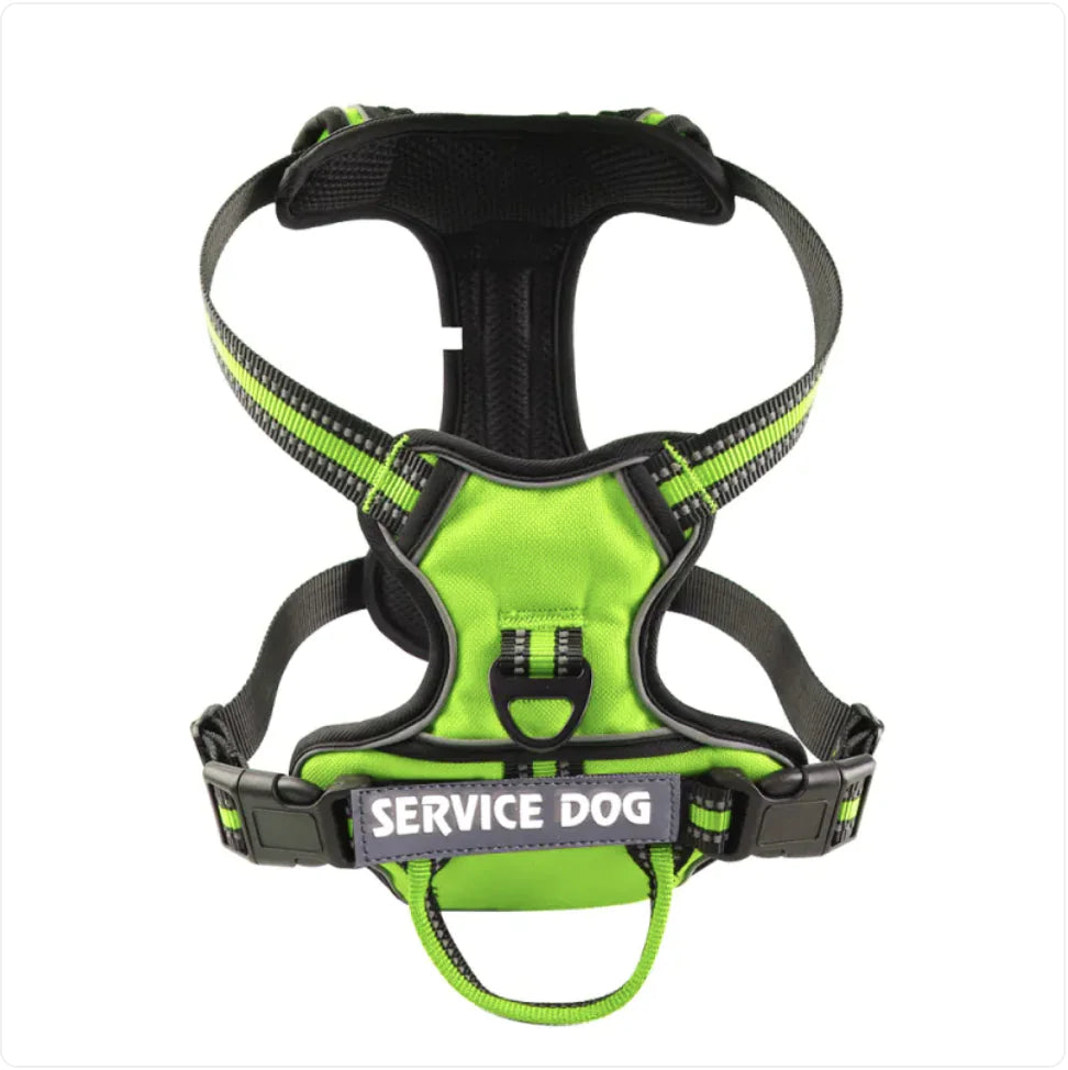 Service dog, dog harness SMALL