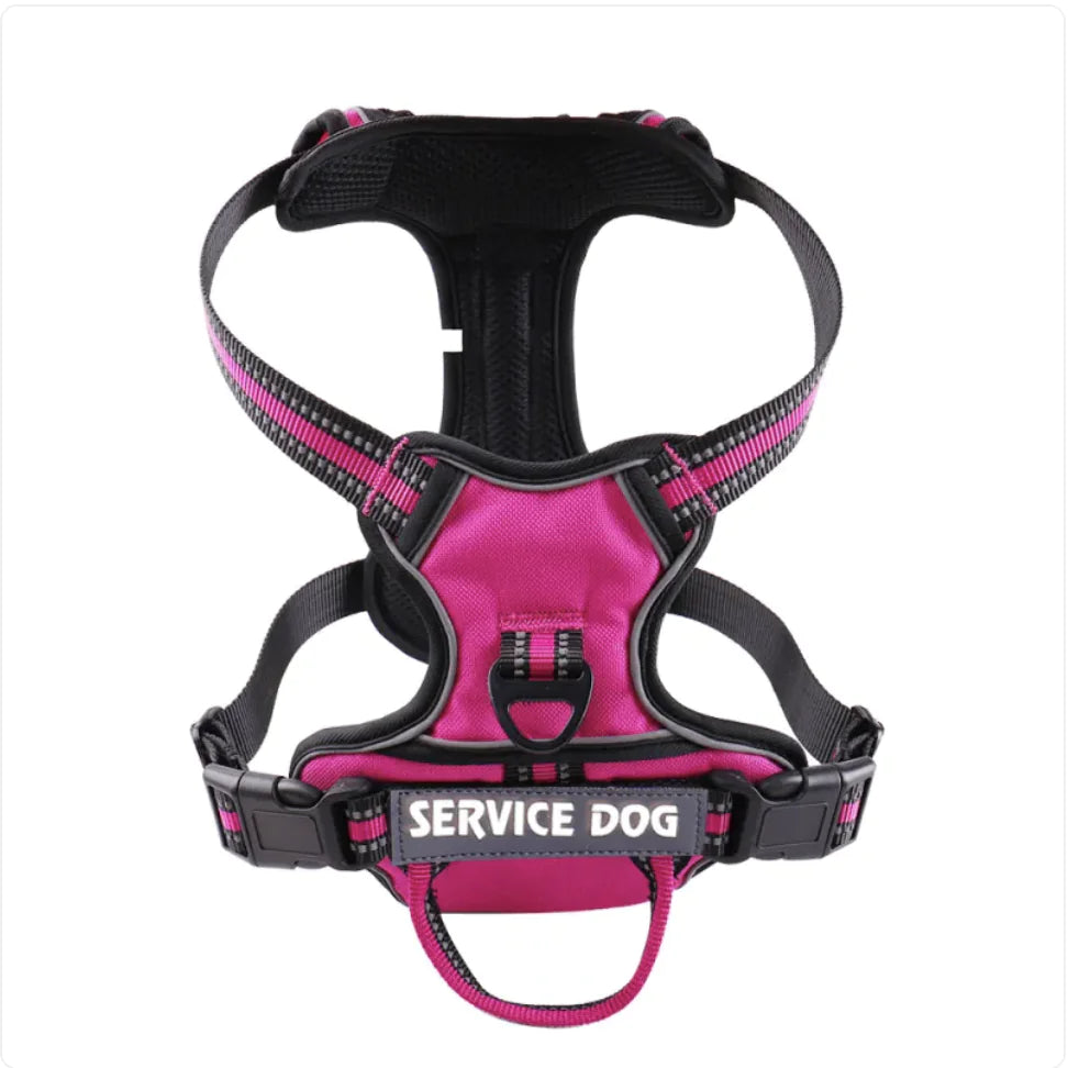 Service dog, dog harness SMALL
