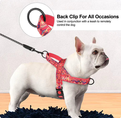 Grovy Dog Harness 🐕