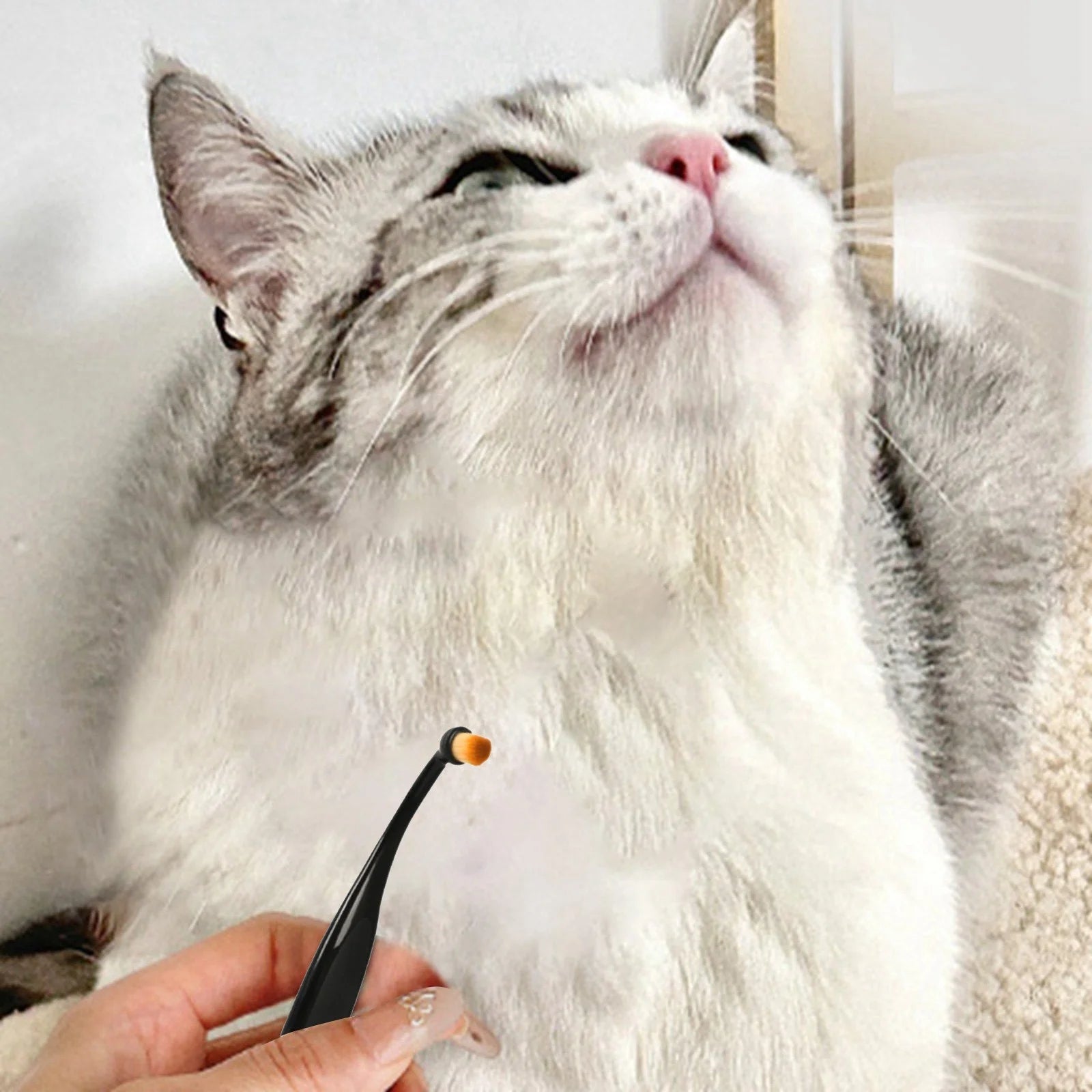 Pet Supplies Pet Tear Stain Remover Brush for Dogs and Cats - Grooming Tool for Eye Area Hygiene Pet Accessories for Cleaning