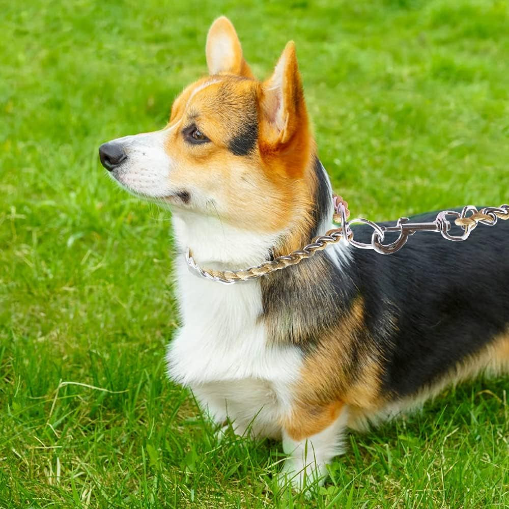 Stainless Steel Heavy Duty Metal Dog Collar, Adjustable and Durable Pet Collar for Small Dogs, Ideal for Walking and Training (Gold, 3MM*13-15 Inches)