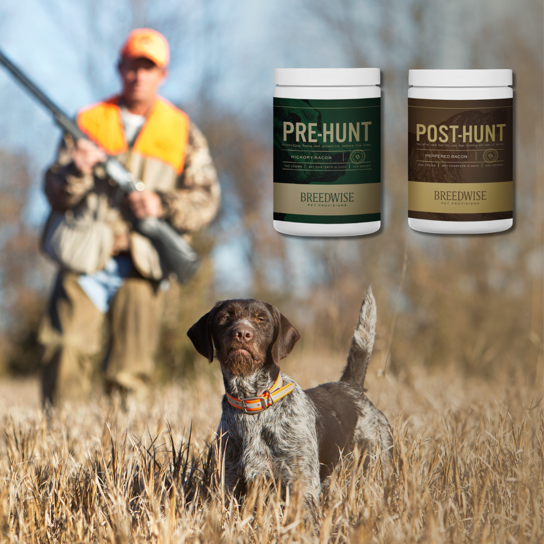 Breedwise Pre & Post-HUNT Soft Dog Chews -  Bundle