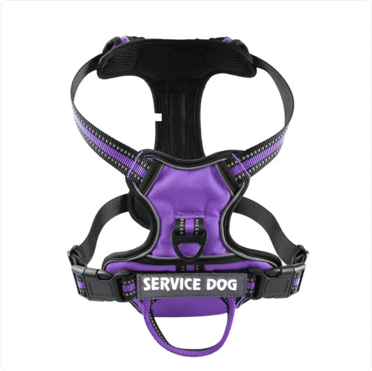 Service dog, dog harness SMALL