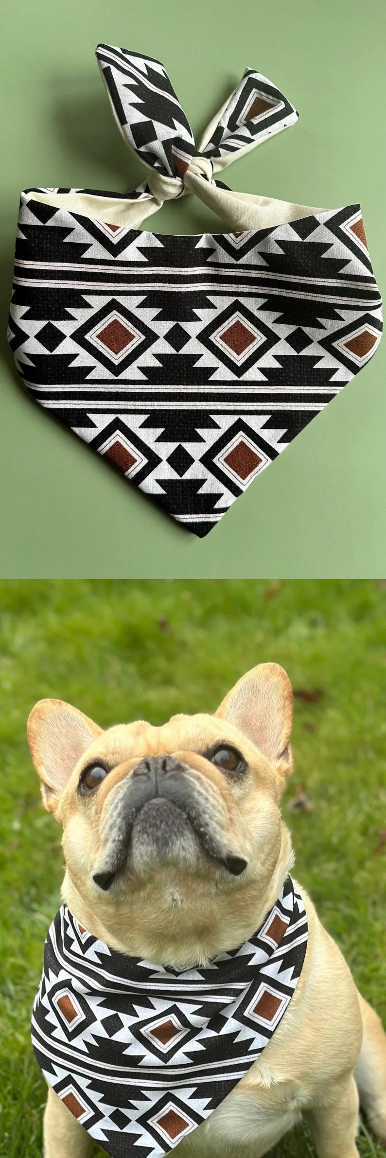 Southwest Dog Bandana