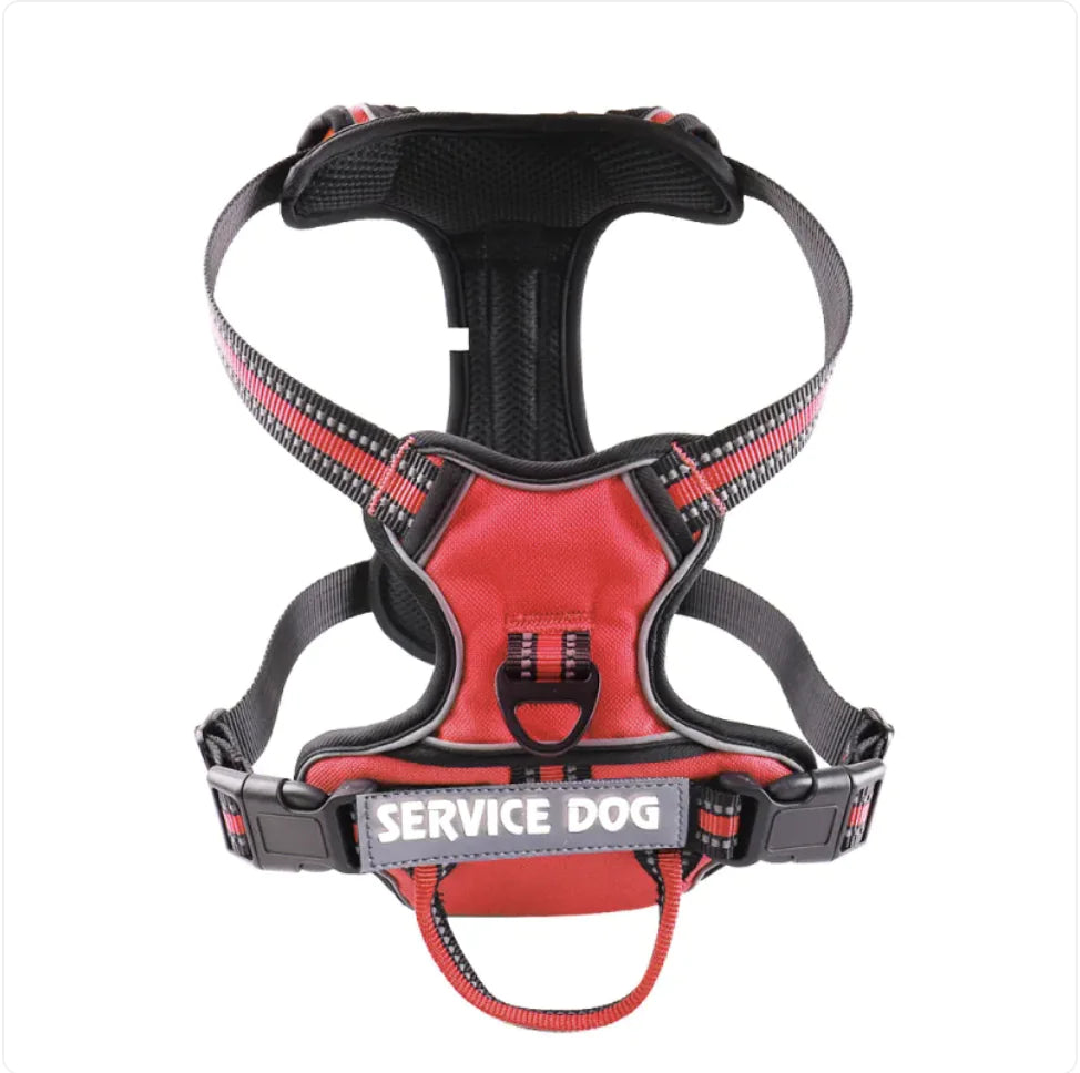 Service dog, dog harness SMALL