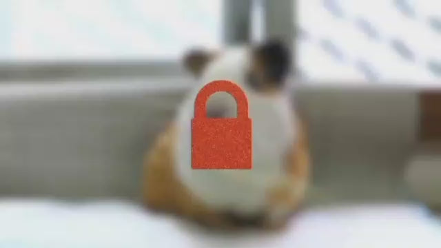 Load video: 
