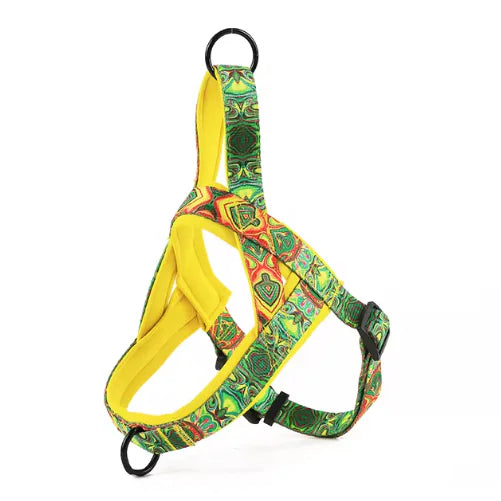 Grovy Dog Harness 🐕